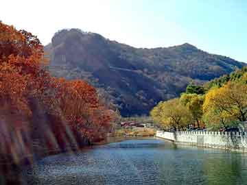 新澳天天开奖资料大全旅游团，天水seo服务